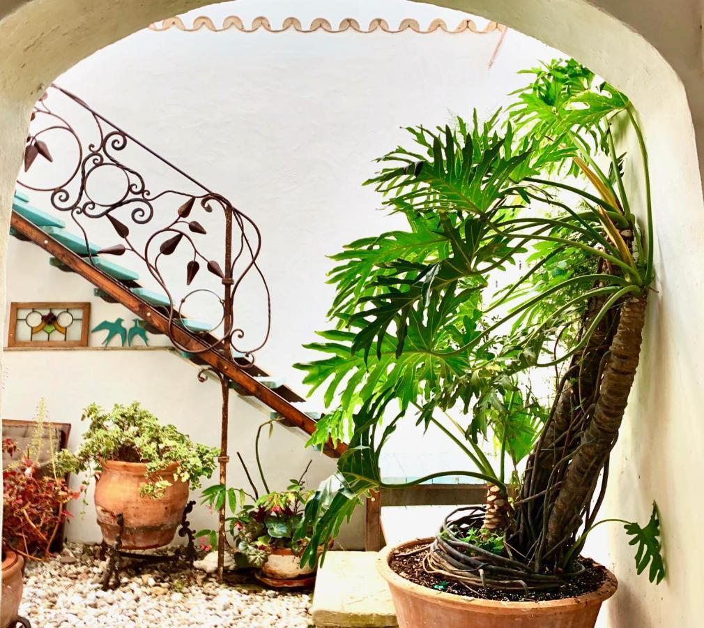 Casa Del Teatro Luxury Casas Vejer Debra Villa Vejer de la Frontera Exteriör bild